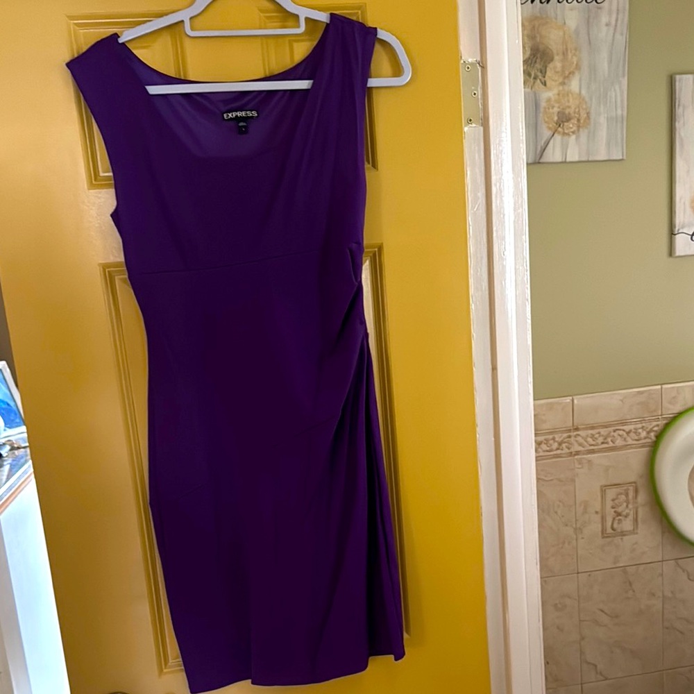 Express Purple Women's Dress